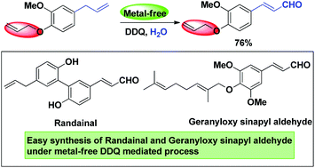 Graphical abstract: Modular synthesis of (E)-cinnamaldehydes directly from allylarenes via a metal-free DDQ-mediated oxidative process