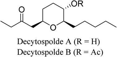Graphical abstract: Enantioselective total synthesis of decytospolide A and decytospolide B using an Achmatowicz reaction