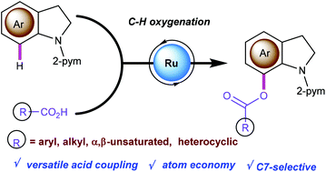 Graphical abstract: Ru(ii)-Catalyzed C7-acyloxylation of indolines with carboxylic acids