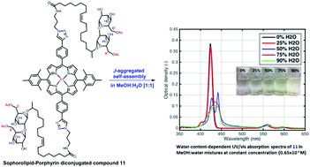 Graphical abstract: Biosurfactant-functionalized porphyrin chromophore that forms J-aggregates