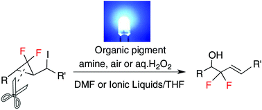 Graphical abstract: Synthesis of 2,2-difluoro-homoallylic alcohols via ring-opening of gem-difluorocyclopropane and aerobic oxidation by photo-irradiation in the presence of an organic pigment