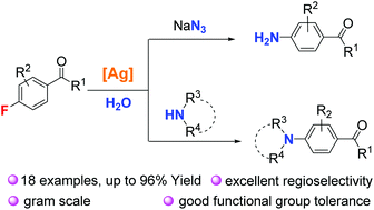 Graphical abstract: Silver-catalyzed intermolecular amination of fluoroarenes