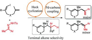 Graphical abstract: Palladium-catalyzed heck-type cascade cyclization of (Z)-1-iodo-1,6-dienes with N-tosyl hydrazones