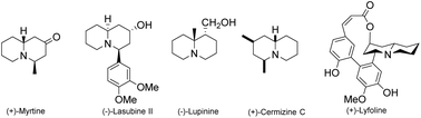 Graphical abstract: Direct and highly stereoselective synthesis of quinolizidine iminosugars promoted by l-proline-Et3N