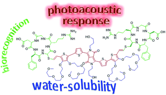 Graphical abstract: A water-soluble PEGylated RGD-functionalized bisbithiophenyl diketopyrrolopyrrole as a photoacoustic sonophore