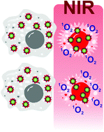 Graphical abstract: Photosensitiser functionalised luminescent upconverting nanoparticles for efficient photodynamic therapy of breast cancer cells