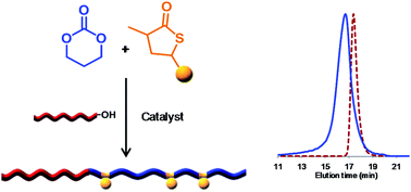 Graphical abstract: Scope and limitations of ring-opening copolymerization of trimethylene carbonate with substituted γ-thiolactones