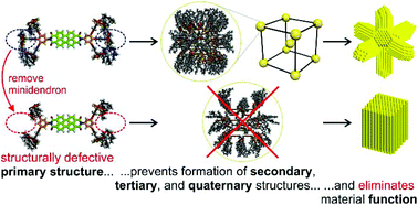 Graphical abstract: Losing supramolecular orientational memory via self-organization of a misfolded secondary structure
