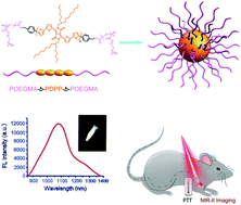 Graphical abstract: A highly water-soluble triblock conjugated polymer for in vivo NIR-II imaging and photothermal therapy of cancer