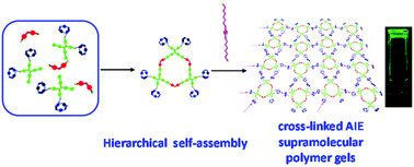 Graphical abstract: Cross-linked AIE supramolecular polymer gels with multiple stimuli-responsive behaviours constructed by hierarchical self-assembly