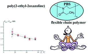 Graphical abstract: Conformational properties of biocompatible poly(2-ethyl-2-oxazoline)s in phosphate buffered saline