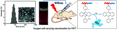 Graphical abstract: Near-infrared light triggered photothermal and photodynamic therapy with an oxygen-shuttle endoperoxide of anthracene against tumor hypoxia