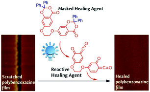 Graphical abstract: Combining benzoxazine and ketene chemistries for self-healing of high performance thermoset surfaces