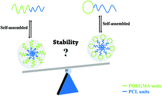 Graphical abstract: Promotion of micelle stability via a cyclic hydrophilic moiety
