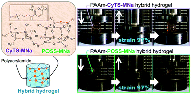 Graphical abstract: Preparation of irrefrangible polyacrylamide hybrid hydrogels using water-dispersible cyclotetrasiloxane or polyhedral oligomeric silsesquioxane containing polymerizable groups as cross-linkers