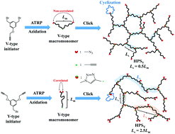 Graphical abstract: A comparative study of intrachain cyclization and solution properties of long-subchain hyperbranched polymers prepared via Y-type and V-type macromonomer approaches