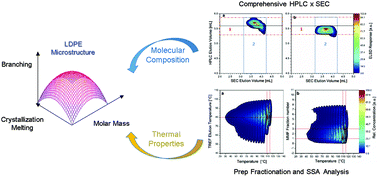 Graphical abstract: Combination of preparative and two-dimensional chromatographic fractionation with thermal analysis for the branching analysis of polyethylene