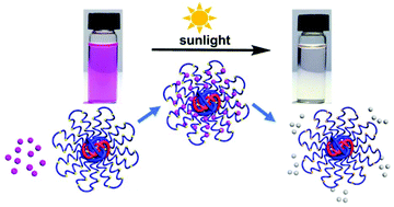 Graphical abstract: Hyperbranched poly(ether amine) nanomicelles as nanoreactors for the unexpected ultrafast photolysis of fluorescein dyes