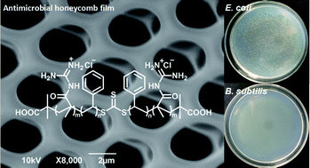 Graphical abstract: Synthesis of novel guanidine-based ABA triblock copolymers and their antimicrobial honeycomb films