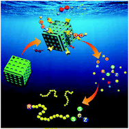 Graphical abstract: Controlled RAFT polymerization facilitated by a nanostructured enzyme mimic