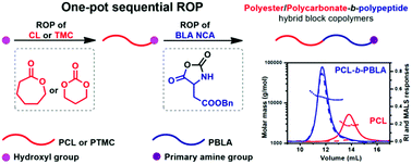 Graphical abstract: Hybrid block copolymers of polyesters/polycarbonates and polypeptides synthesized via one-pot sequential ring-opening polymerization