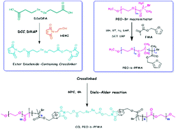 Graphical abstract: Near-infrared light-responsive, diselenide containing core-cross-linked micelles prepared by the Diels–Alder click reaction for photocontrollable drug release application