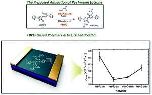 Graphical abstract: An efficient lactone-to-lactam conversion for the synthesis of thiophene Pechmann lactam and the characterization of polymers thereof