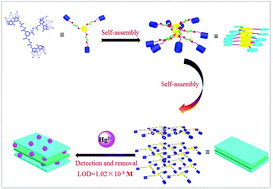 Graphical abstract: Tri-pillar[5]arene-based multi-stimuli-responsive supramolecular polymers for fluorescence detection and separation of Hg2+