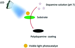 Graphical abstract: Visible-light initiated polymerization of dopamine in a neutral environment for surface coating and visual protein detection