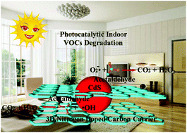 Graphical abstract: Sulfur vacancy-rich CdS loaded on filter paper-derived 3D nitrogen-doped mesoporous carbon carrier for photocatalytic VOC removal