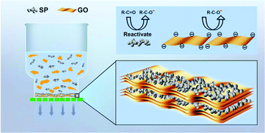 Graphical abstract: Ion selective separators based on graphene oxide for stabilizing lithium organic batteries