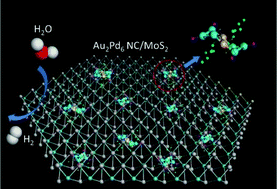 Graphical abstract: Design of atomically precise Au2Pd6 nanoclusters for boosting electrocatalytic hydrogen evolution on MoS2