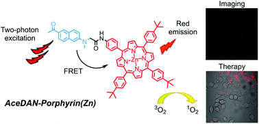 Graphical abstract: An AceDAN–porphyrin(Zn) dyad for fluorescence imaging and photodynamic therapy via two-photon excited FRET