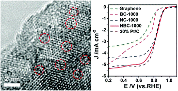 Graphical abstract: A nitrogen and boron co-doped metal-free carbon electrocatalyst for an efficient oxygen reduction reaction