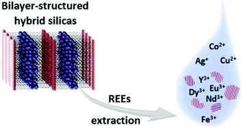 Graphical abstract: Ion extraction applications of bilayer-structured hybrid silicas