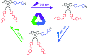 Graphical abstract: Design and synthesis of a novel azobenzene-containing polymer both in the main- and side-chain toward unique photocontrolled isomerization properties
