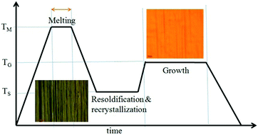 Graphical abstract: CVD growth of continuous and spatially uniform single layer graphene across the grain boundary of preferred (111) oriented copper processed by sequential melting–resolidification–recrystallization