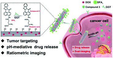 Graphical abstract: Ratiometric real-time monitoring of hydroxyapatite–doxorubicin nanotheranostic agents for on-demand tumor targeted chemotherapy