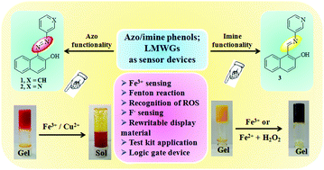 Graphical abstract: Azo and imine functionalized 2-naphthols: promising supramolecular gelators for selective detection of Fe3+ and Cu2+, reactive oxygen species and halides
