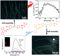 Graphical abstract: Novel chiral aggregation induced emission molecules: self-assembly, circularly polarized luminescence and copper(ii) ion detection