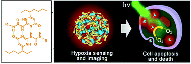 Graphical abstract: Luminescent supramolecular polymer nanoparticles for ratiometric hypoxia sensing, imaging and therapy