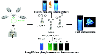 Graphical abstract: A novel strategy for realizing dual state fluorescence and low-temperature phosphorescence