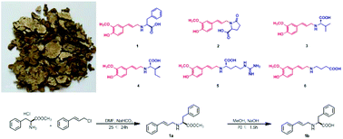 Graphical abstract: Novel phenylpropanoid–amino acid adducts from Ligusticum chuanxiong