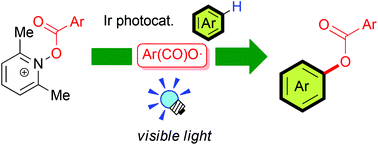 Graphical abstract: Photoredox radical C–H oxygenation of aromatics with aroyloxylutidinium salts