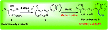 Graphical abstract: Total synthesis of the isoquinoline alkaloid decumbenine B via Ru(iii)-catalyzed C–H activation