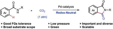 Graphical abstract: Pd-catalyzed carbonylation of aryl C–H bonds in benzamides with CO2