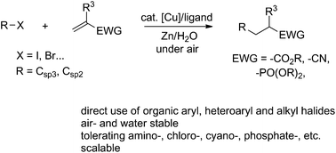Graphical abstract: Direct conjugate additions using aryl and alkyl organic halides in air and water