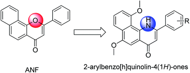 Graphical abstract: Development of 2-arylbenzo[h]quinolone analogs as selective CYP1B1 inhibitors