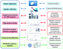 Graphical abstract: Retracted Article: High-throughput metabolomics identifies serum metabolic signatures in acute kidney injury using LC-MS combined with pattern recognition approach