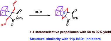 Graphical abstract: Synthesis of propellanes containing a bicyclo[2.2.2]octene unit via the Diels–Alder reaction and ring-closing metathesis as key steps